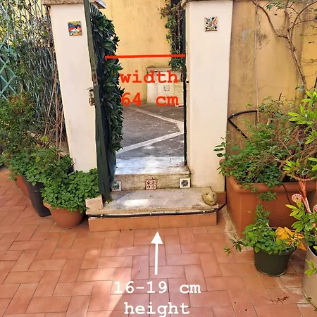 Hostme Gardenhouse Vaticano-3